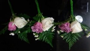 Jual Corsage Dada di Jakarta Selatan 087878740559