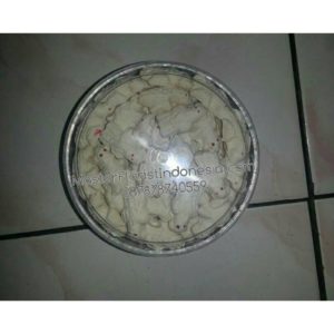 Jual Kue Kering Nikmat di Senayan 087878740559