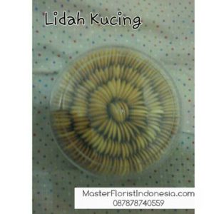 Jual Lidah Kucing Untuk Lebaran 2017 087878740559